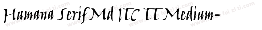 Humana Serif Md ITC TT Medium字体转换